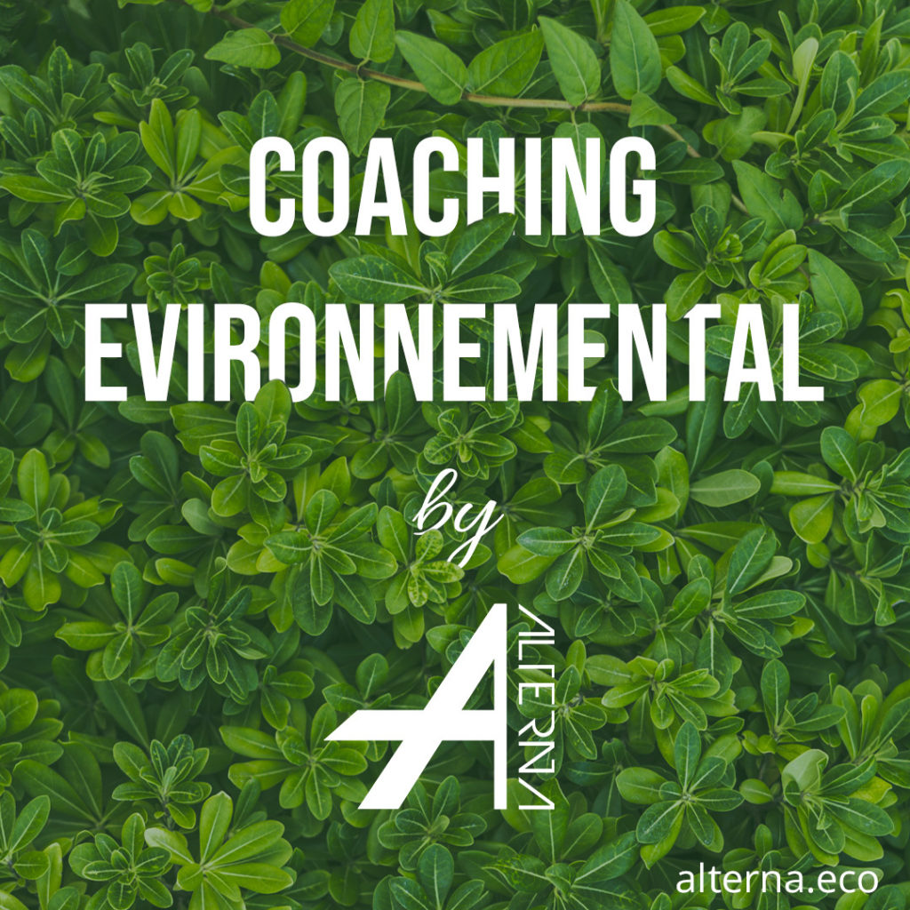Coaching Environnemental : Comment réduire son empreinte carbone individuelle ?