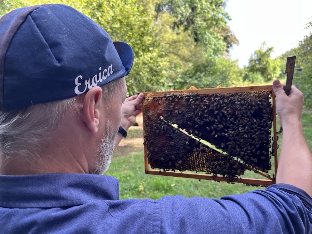 Journée d’été 2025 🐝🐝🐝